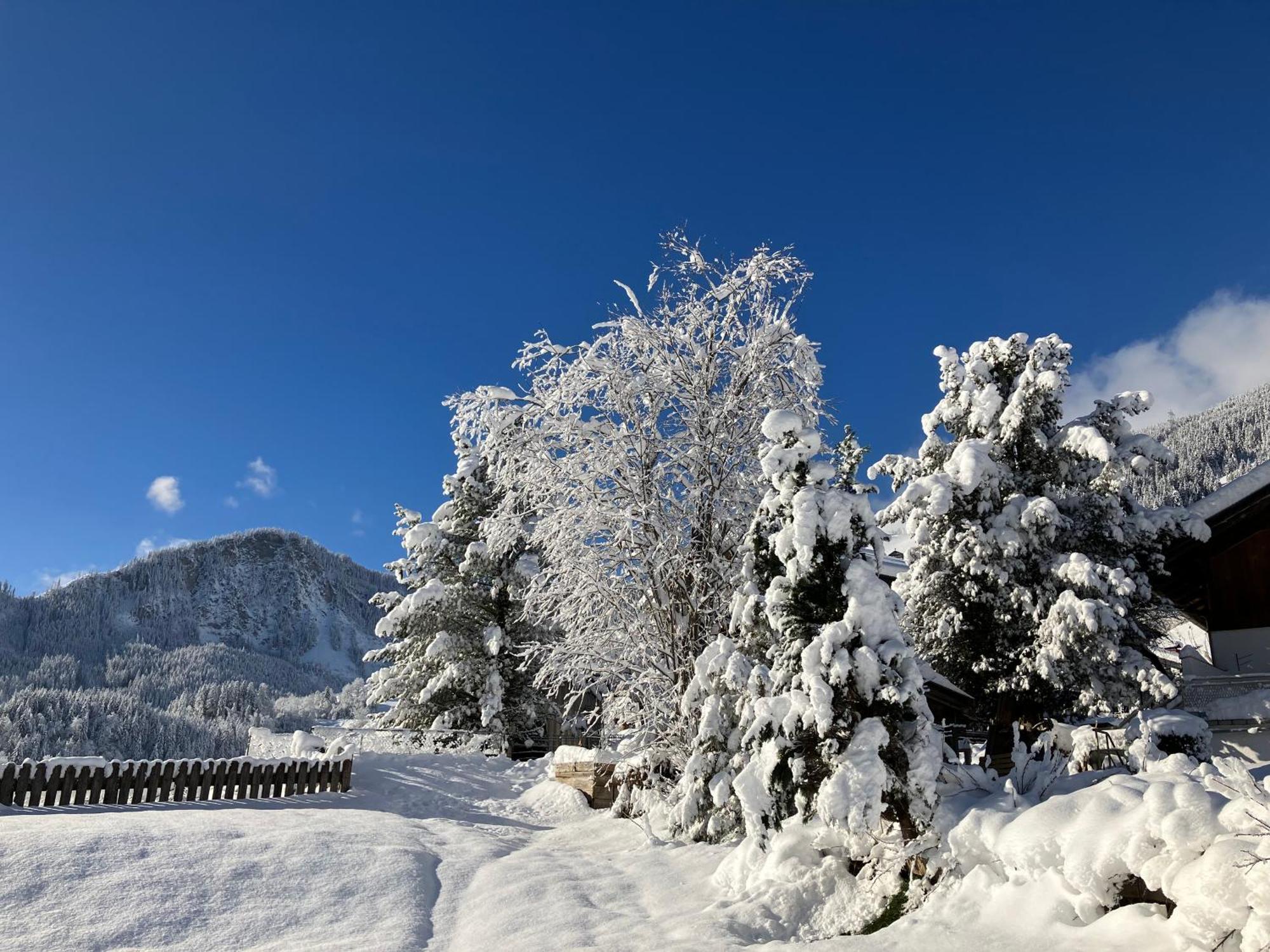 Appartement Knapp Wald im Pinzgau Exterior photo